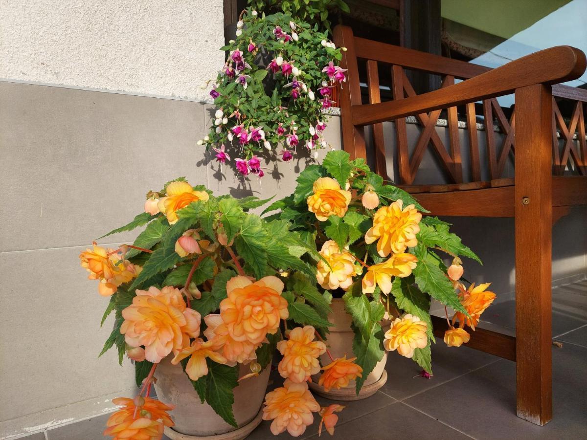 Apartman Thea Gomirje ภายนอก รูปภาพ